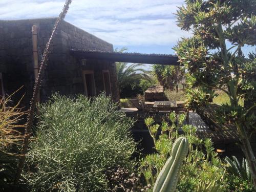 A garden outside Agricola Pineda