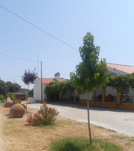 a small tree in front of a building at Tapada da Beirã in Marvão