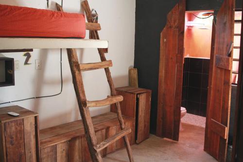 Gallery image of Black Jaguar Hostel in Bacalar
