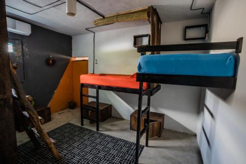 Gallery image of Black Jaguar Hostel in Bacalar