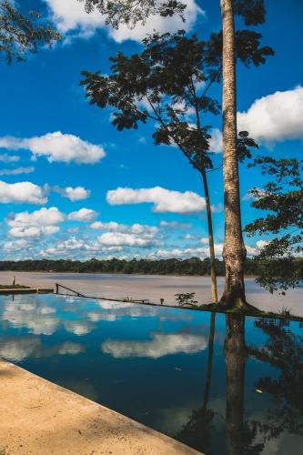 a tree sitting next to a body of water at Enai in Puerto Maldonado
