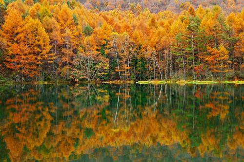 a reflection of trees in a lake with autumn colours at Guesthouse Kreutzer in Chino