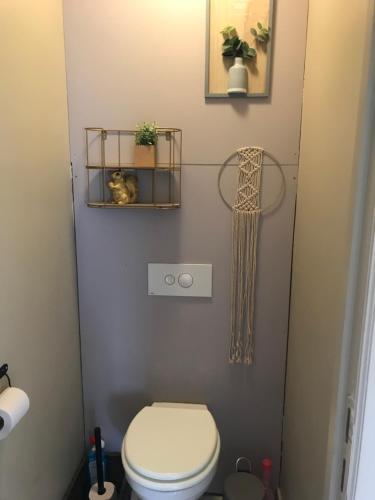 a bathroom with a toilet and a cat on a shelf at Holiday home De Levensgenieter in Torhout