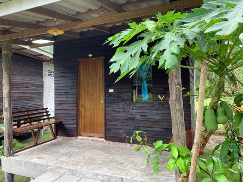Zahrada ubytování PD Guesthouse