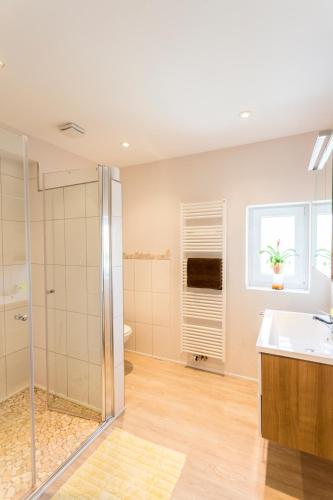 a bathroom with a shower and a sink at Gasthaus zum Holzwurm in Gransdorf