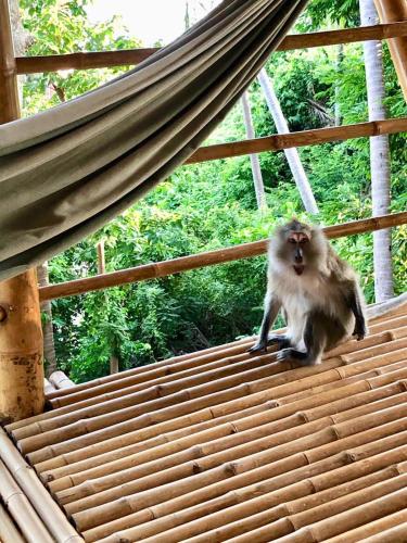a monkey sitting on top of a wooden platform at Kalulushi Bungalows in Haad Pleayleam