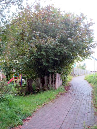 Taman di luar Sonnige Fachwerkwohnung