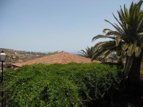 a view of a house with a palm tree at Casa Rural Anton Piche with Pool-Adults Only in Granadilla de Abona