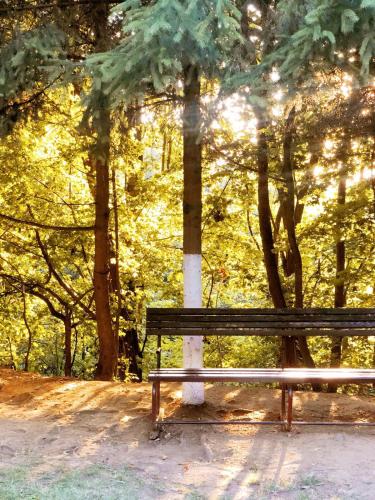 a park bench sitting in front of a tree at Pensiunea Aurelia in Şiria