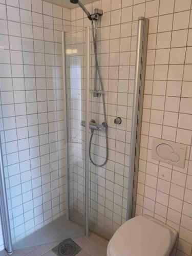 a shower with a toilet in a bathroom at CITY CENTER OSLO BLACK AND WHITE APARTMENT in Oslo