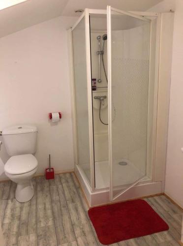 La salle de bains est pourvue d'une douche, de toilettes et d'un tapis rouge. dans l'établissement Appartement face au Donjon, à Pons