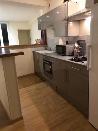 Il comprend une cuisine équipée d'appareils en acier inoxydable et du parquet. dans l'établissement Appartement face au Donjon, à Pons