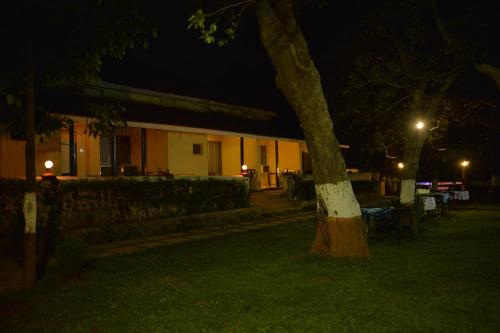 a tree in front of a building at night at Adamo The Village in Matheran