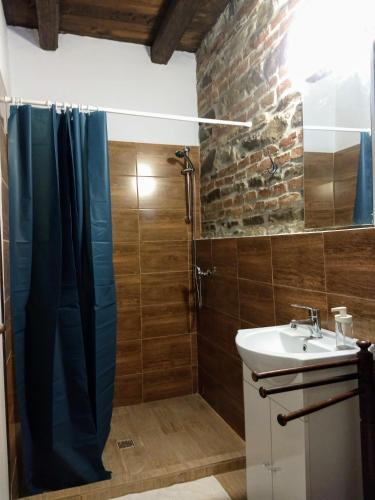 a bathroom with a shower and a sink at Casa Marta in Bărcuţ