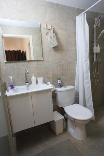 a bathroom with a toilet and a sink and a mirror at Lakeside Terrace in Neot Golan
