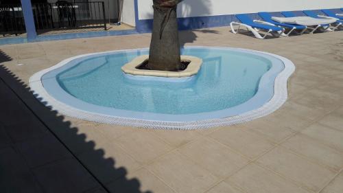 a small circular pool with a tree in it at Casa Almeida in Vimieiro