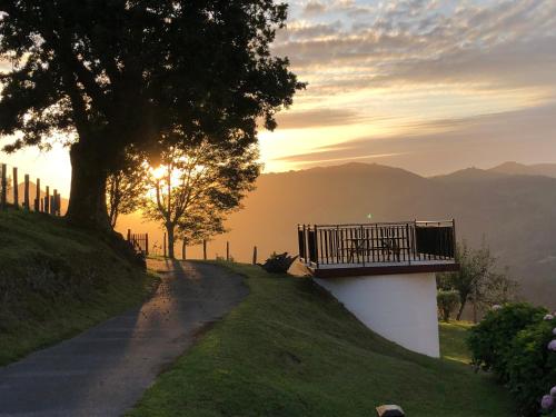 a tree on a hill with a bench on a road at Casa Katton in Etxalar