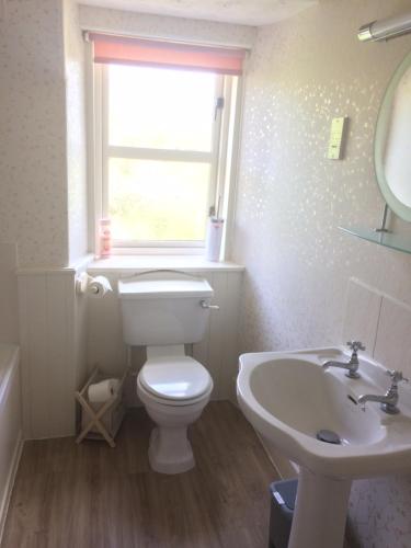 a bathroom with a toilet and a sink and a window at Lettoch Farm in Dufftown