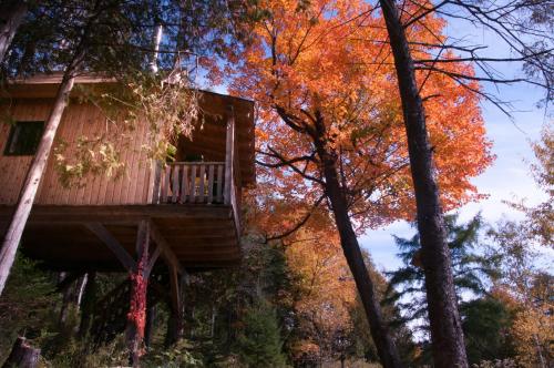 Les Cabanes du Trappeur – Photos 4