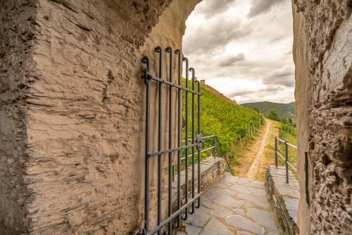 an entrance to a stone wall with a gate at Altkölnischer Hof in Bacharach