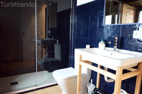 a bathroom with a toilet and a sink and a shower at Apartamento Llerandi 1B - Céntrico y completamente reformado in San Vicente de la Barquera