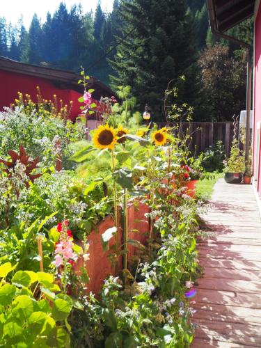 a garden with sunflowers and other flowers at Gabis kleine Spezerey in Gries am Brenner