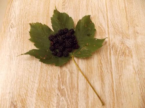 a black flower sitting on a wooden table at B&B Nonna Rosa in Norcia