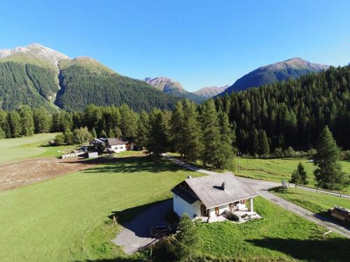 an aerial view of a house in a field with mountains at Chesa Piz d'Esan in S-chanf