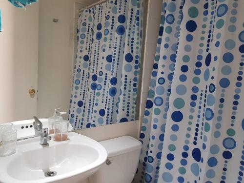 a bathroom with a sink and a toilet and a shower curtain at Departamento Paseo Bulnes Metro La Moneda in Santiago