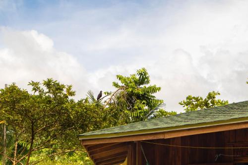 Fotografie z fotogalerie ubytování Bungalows Aché Cahuita v destinaci Cahuita