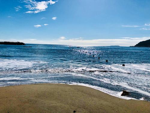 a group of people in the water at the beach at Izu Kansya in Atami