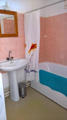 フレジュスにあるCharmant T2 Lagon Bleuのバスルーム(シンク、魚の入ったシャワーカーテン付)