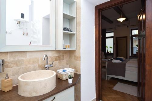 a bathroom with a large sink in a room at Buzoianu Residence by Holztreppe in Braşov