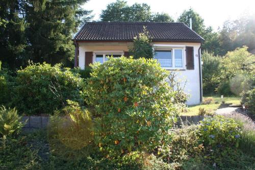 una pequeña casa con un arbusto delante de ella en Bergblick, en Siedelsbrunn