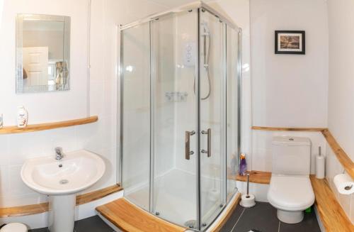een badkamer met een douche, een toilet en een wastafel bij Stiwdio Eithinog in Caernarfon