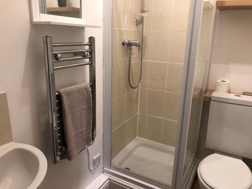 a bathroom with a shower with a toilet and a sink at 34 Brunton Street Serviced Accommodation in Darlington