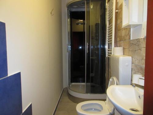 a bathroom with a shower and a toilet and a sink at Penzion Shamrock in Třebíč