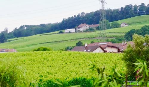 Un paisaje natural cerca of the bed and breakfast