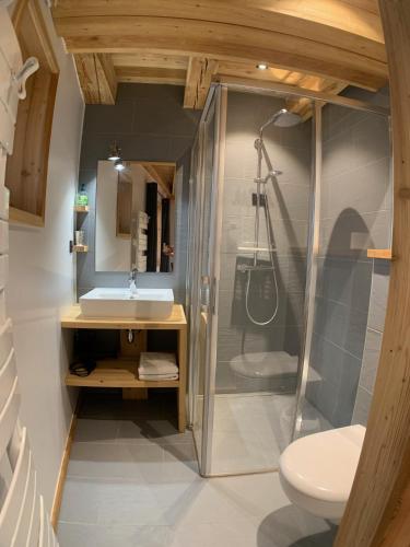 une salle de bain avec douche et lavabo dans l'établissement Le Gabion, luxueux appartement avec sauna, Serre chevalier Vallée, à Saint-Chaffrey