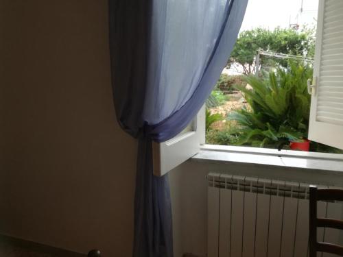 a window with a blue curtain and a plant at Villetta Baia San Montano in Ischia
