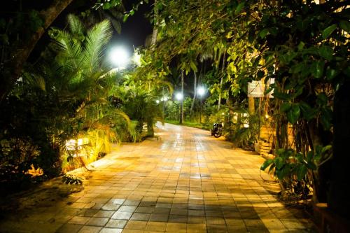 an empty street at night with trees and lights at Exotica By The Sea in Diveagar