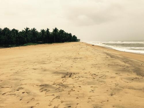 an empty beach with a line of trees on the shore at Exotica By The Sea in Diveagar