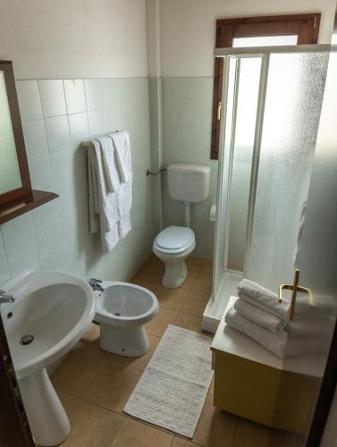 a bathroom with a sink and a toilet and a shower at Su Pranu in Onifai