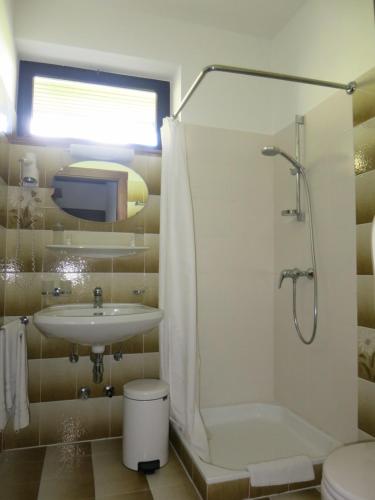a bathroom with a shower toilet and a sink at Pension Lang in St. Andrä am Zicksee