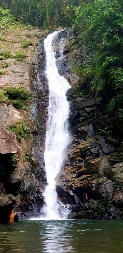 サン・ヴィチェンテにあるWestpoint Innの水の流れに近い山の脇の滝