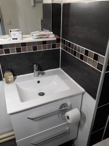 a bathroom with a white sink and a mirror at Appartement Studio Gare SNCF in Beauvais