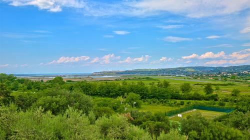 an aerial view of a field with trees and the ocean at Mulino Luxury Boutique Hotel in Buje