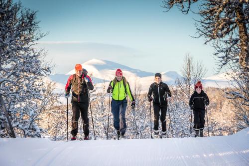 a group of people on skis in the snow at Hotell Bruksvallsliden in Bruksvallarna