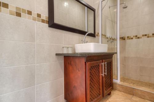 a bathroom with a sink and a shower at Forest Lodge in St Lucia