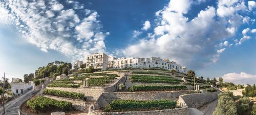 un bâtiment au sommet d'une colline avec des buissons dans l'établissement DIMORA ANTONIANNA in VALLE D'ITRIA, à Locorotondo